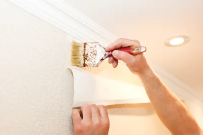 Pose de papier peint à Montvernier — revêtements muraux et toiles de verre